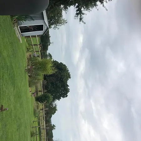 Le Coin Des Piplettes