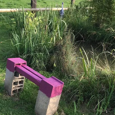 Le Coin Des Piplettes