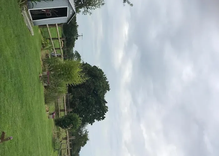 Le Coin Des Piplettes