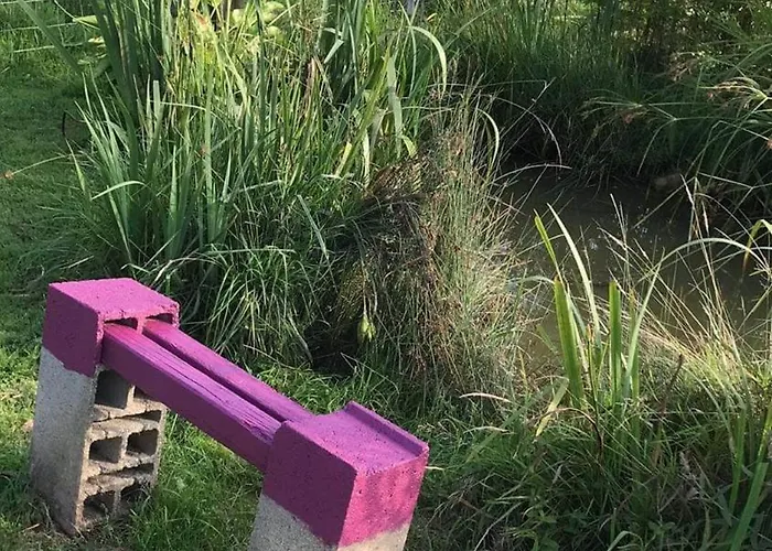 Le Coin Des Piplettes